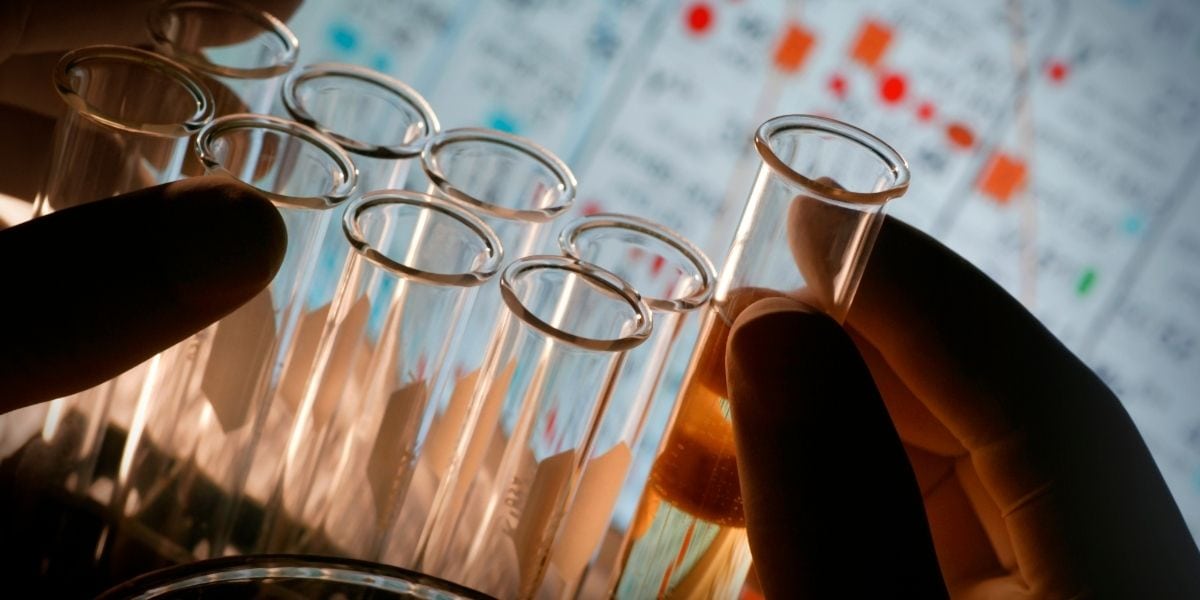 études scientifiques sur la psilocybine