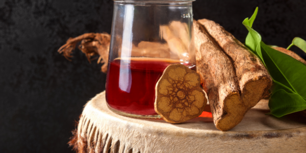 Cadre des retraites Ayahuasca