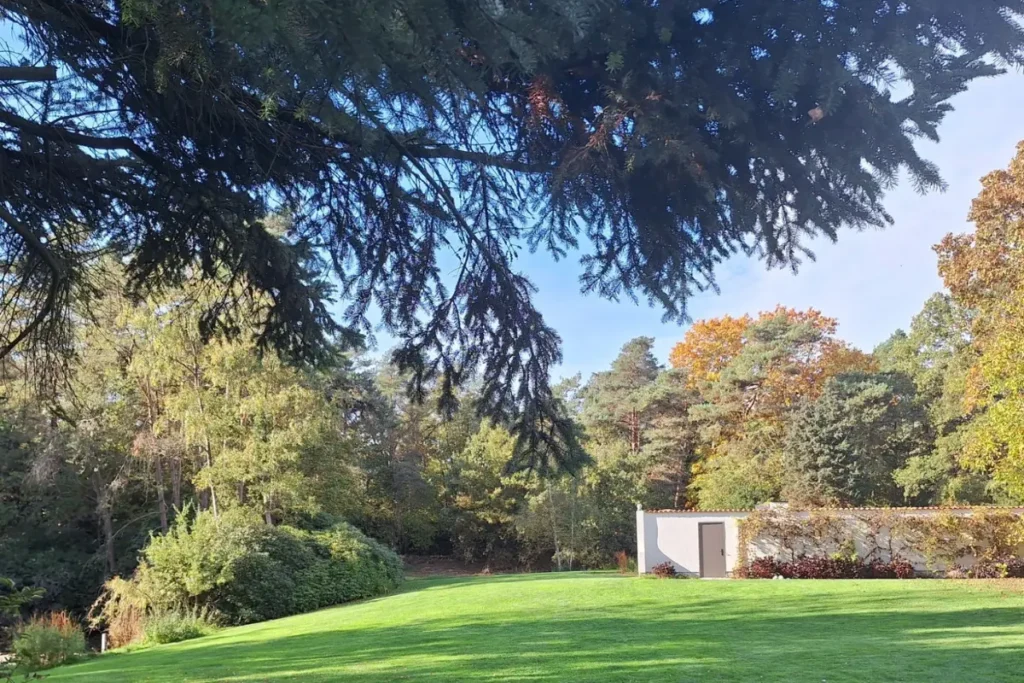 Retraite chamanique : guide complet pour choisir un séjour sérieux en 2026