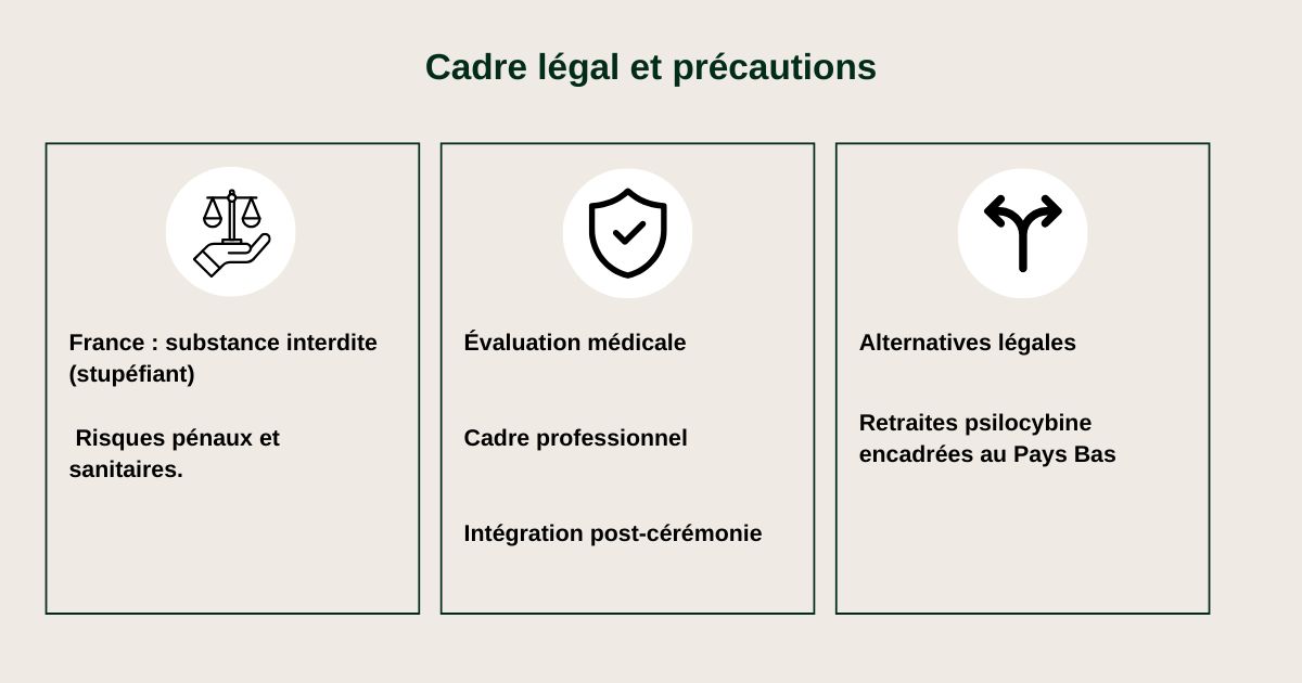 Explorer des alternatives légales en France sans fantasmer l’équivalence | Renaissance-institute
