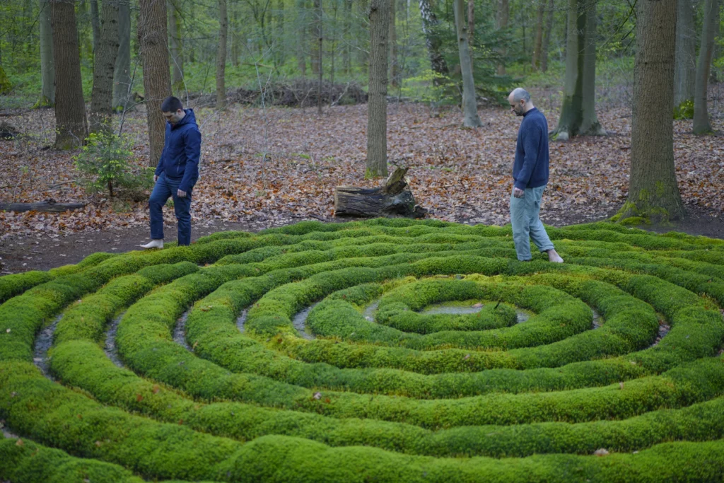 Marche méditative en nature pendant la phase d'accueil de l'intégration psychédélique