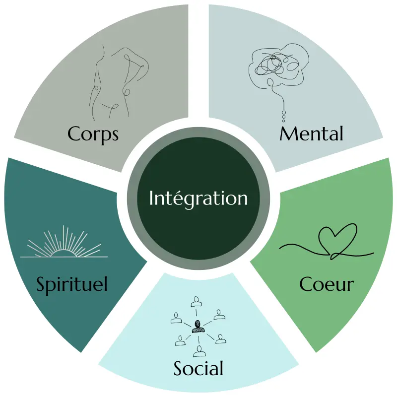 Roue de l'intégration psychédélique - 5 outils complémentaires pour une intégration complète