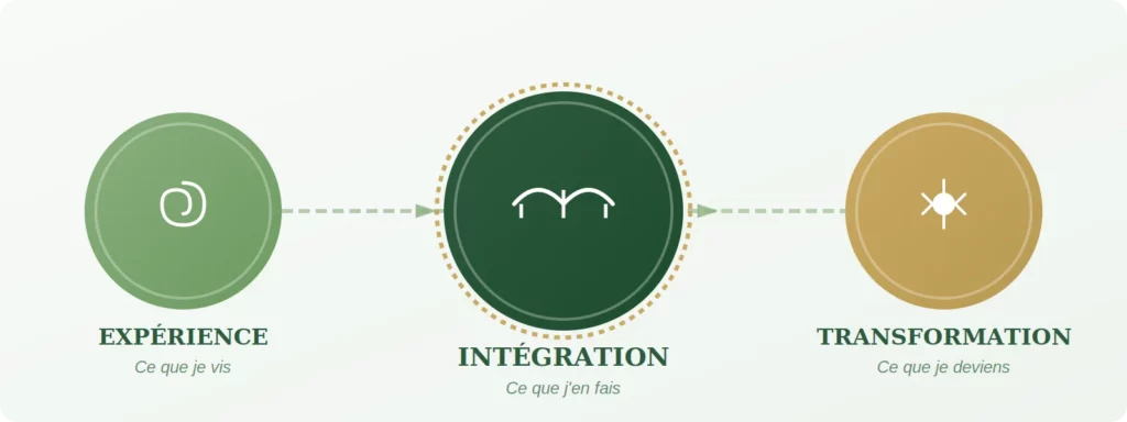 Schéma du processus d'intégration psychédélique : de l'expérience à la transformation