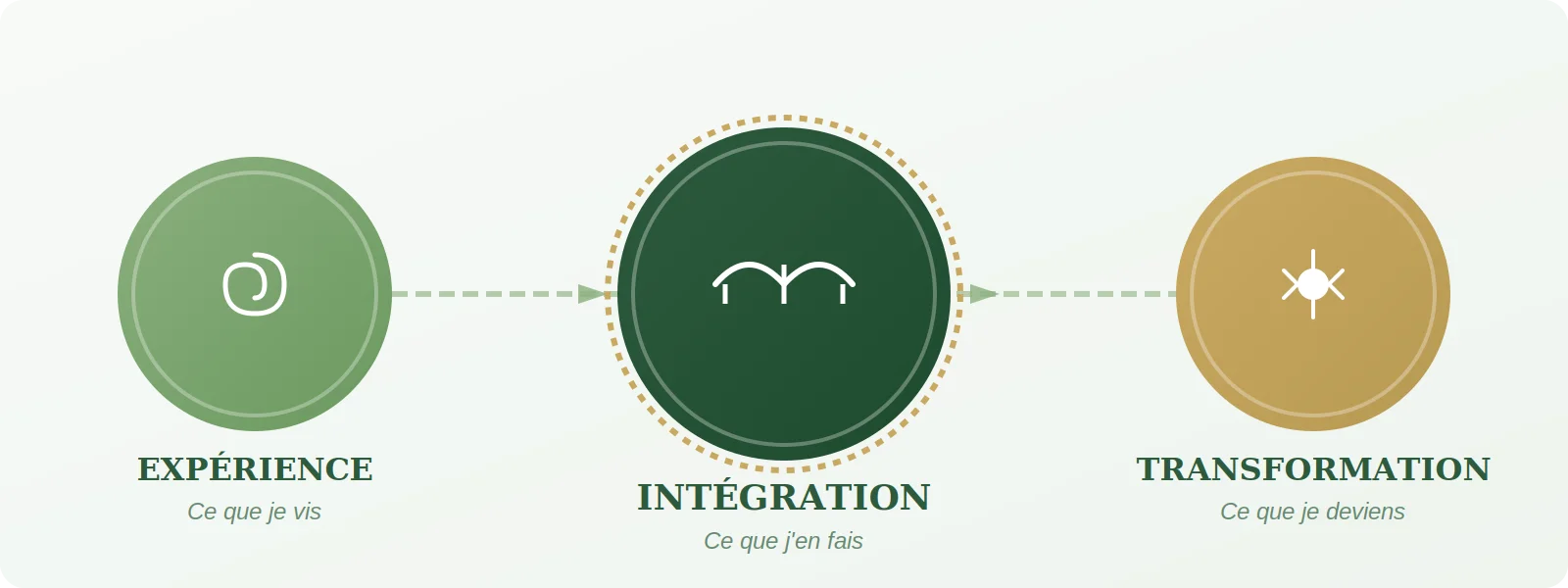 Schéma du processus d'intégration psychédélique — de la préparation au suivi post-retraite