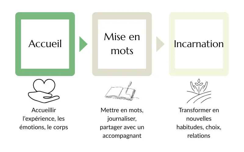 Timeline du processus d'intégration psychédélique en 3 phases : accueil, mise en mots, incarnation