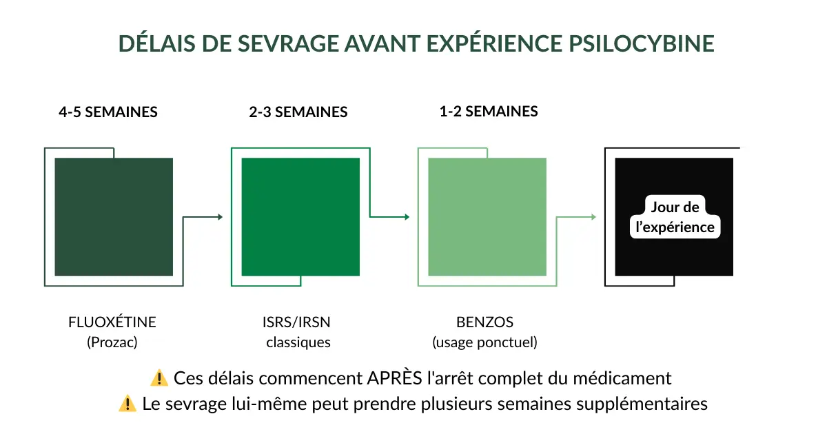 Timeline des délais de sevrage recommandés avant psilocybine - ISRS 2-4 semaines, Fluoxétine 5 semaines, Benzodiazépines 1 semaine