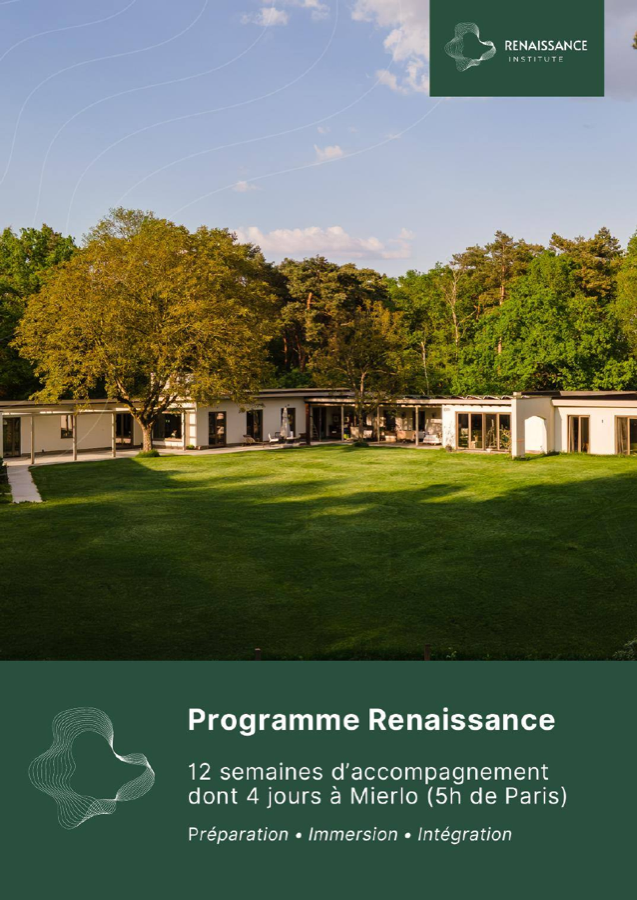 Couverture de la brochure du Programme Renaissance